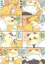 第 8 頁
