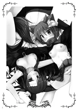 第 3 頁