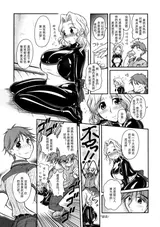第 5 頁