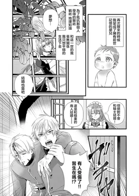 第 8 頁