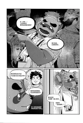 第 3 頁