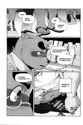 第 5 頁
