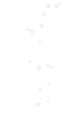 第 3 頁