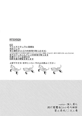 第 4 頁