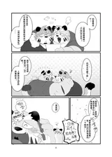 第 8 頁