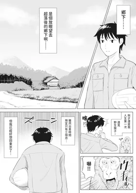 第 3 頁