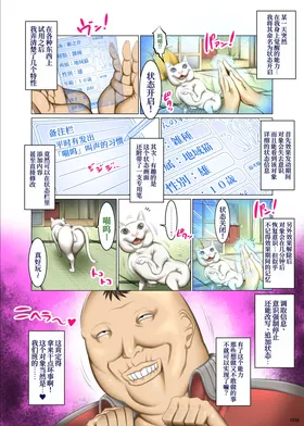 第 7 頁