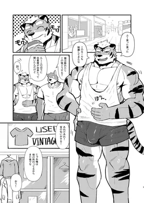 第 3 頁