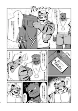 第 6 頁