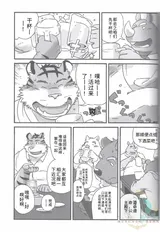 第 5 頁