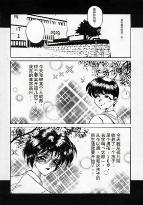 第 8 頁