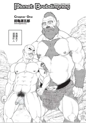第 4 頁