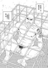 第 7 頁