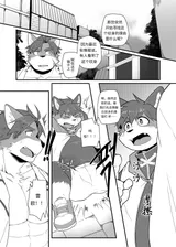 第 8 頁