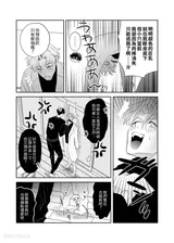 第 8 頁