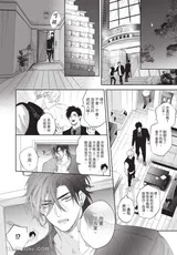第 8 頁