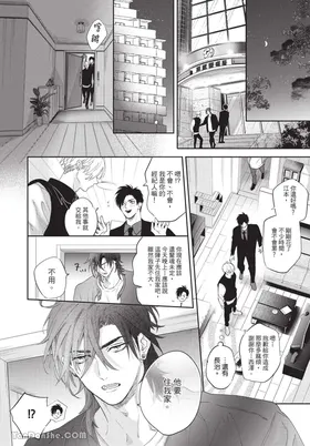 第 8 頁