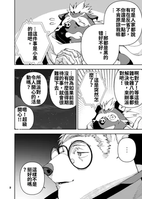 第 3 页