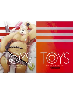 TOYS