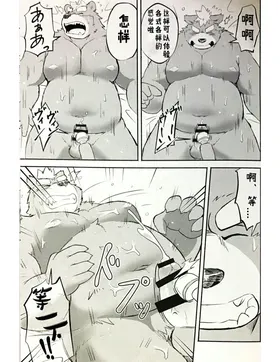 第 8 頁