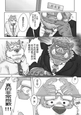 第 8 頁