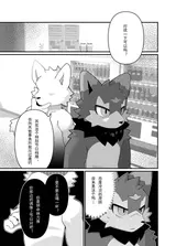 第 7 頁