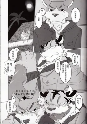 第 8 頁