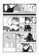 第 6 頁