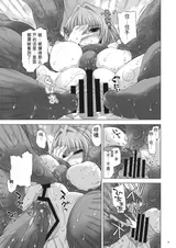 第 8 頁