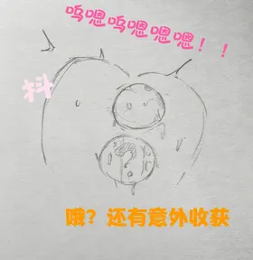 第 3 頁