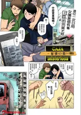 第 2 頁