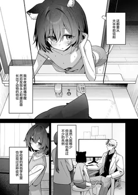 第 8 頁