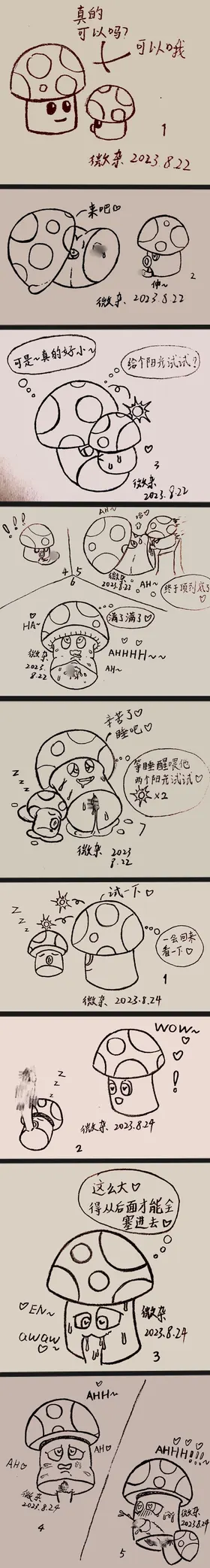 第 6 頁