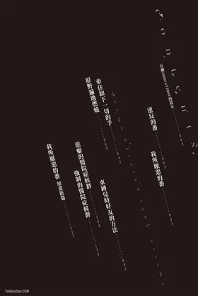 第 3 頁