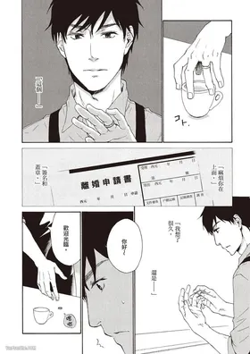 第 8 頁