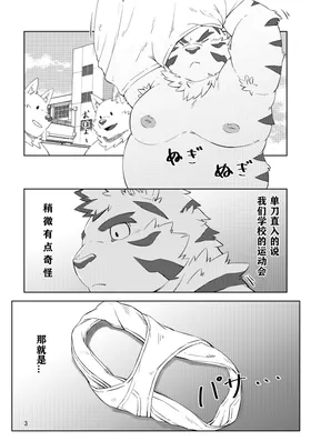 第 3 頁
