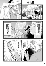 第 3 頁
