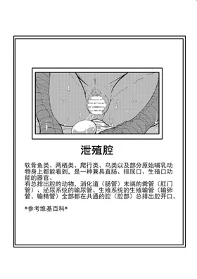 第 3 頁