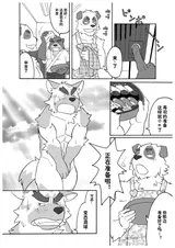 第 5 頁