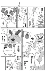 第 6 頁