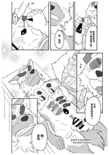 第 7 頁