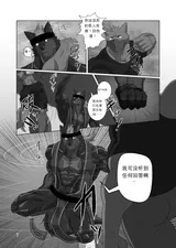 第 6 頁