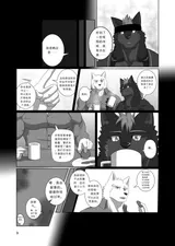 第 8 頁