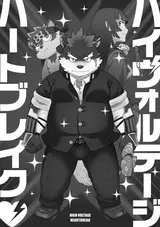 第 2 頁