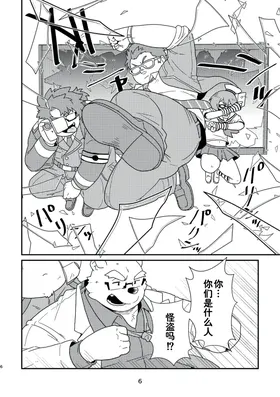 第 6 页