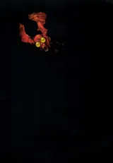 第 8 頁