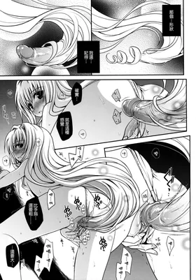 第 4 頁