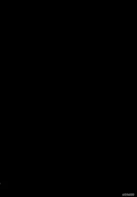 第 6 頁
