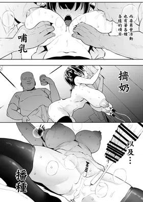 第 5 頁