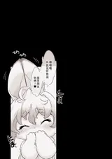 第 3 頁